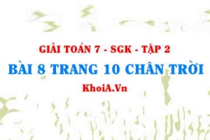 Bài 8 trang 10 Toán 7 Chân trời sáng tạo Tập 2